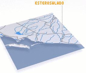 3d view of Estero Salado