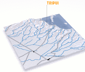 3d view of Tripui