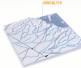 3d view of Juncalito