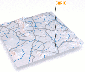 3d view of Saric