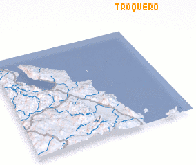 3d view of Troquero