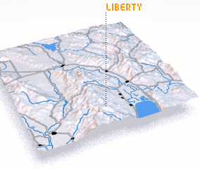 3d view of Liberty