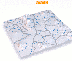 3d view of Sasabe