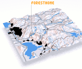 3d view of Forest Home