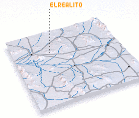 3d view of El Realito