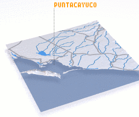 3d view of Punta Cayuco