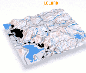 3d view of Leland