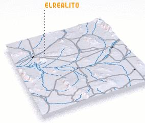 3d view of El Realito