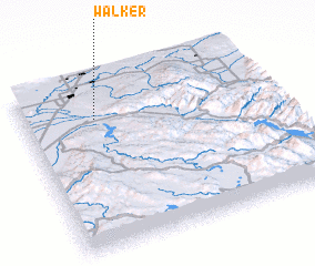 3d view of Walker