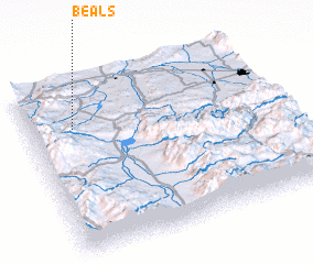 3d view of Beals