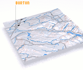 3d view of Burton