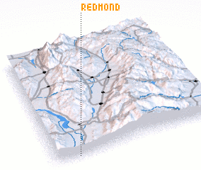 3d view of Redmond