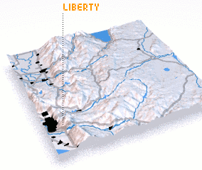 3d view of Liberty