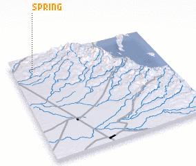 3d view of Spring