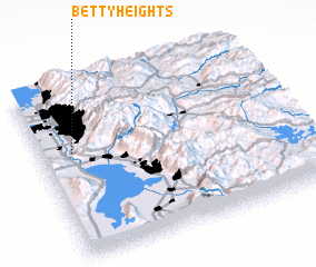 3d view of Betty Heights