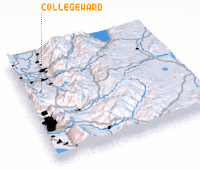 3d view of College Ward