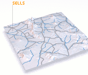 3d view of Sells