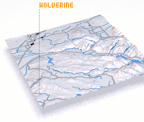 3d view of Wolverine