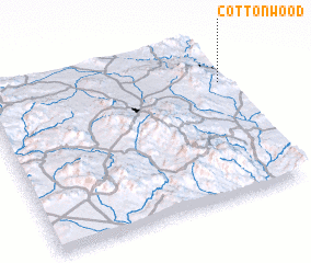 3d view of Cottonwood