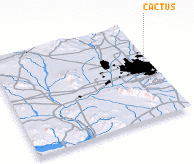 3d view of Cactus