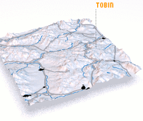 3d view of Tobin