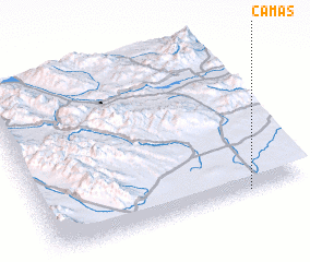 3d view of Camas