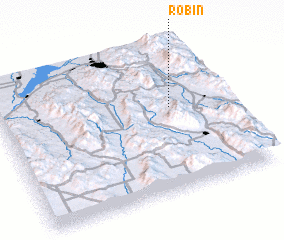 3d view of Robin