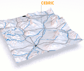 3d view of Cedric