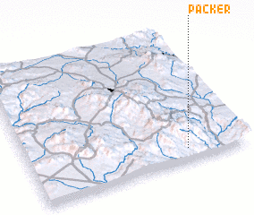 3d view of Packer