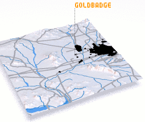 3d view of Goldbadge