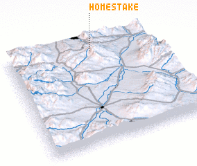 3d view of Homestake