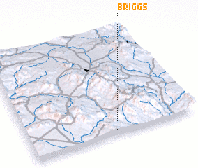 3d view of Briggs