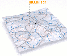 3d view of Williamson