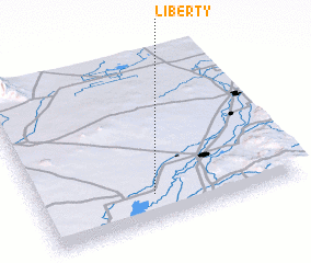 3d view of Liberty