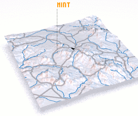 3d view of Mint