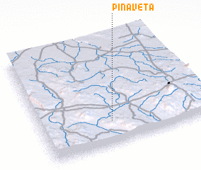 3d view of Pinaveta