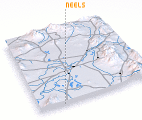 3d view of Neels