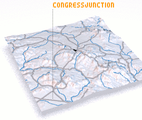 3d view of Congress Junction