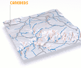 3d view of Cane Beds