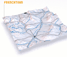 3d view of French Town