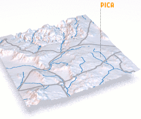 3d view of Pica