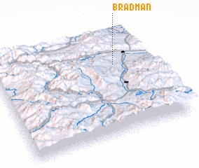 3d view of Bradman