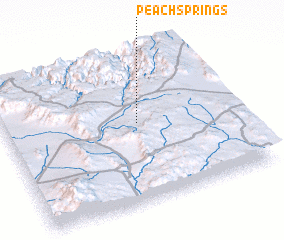 3d view of Peach Springs