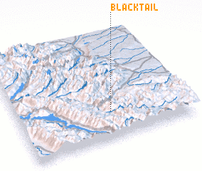 3d view of Blacktail