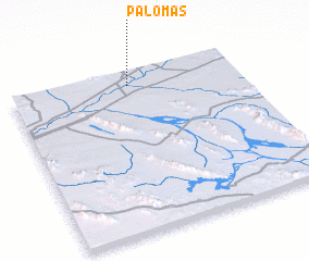 3d view of Palomas