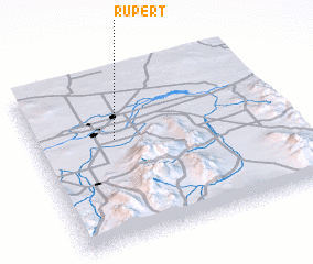 3d view of Rupert