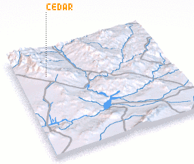 3d view of Cedar