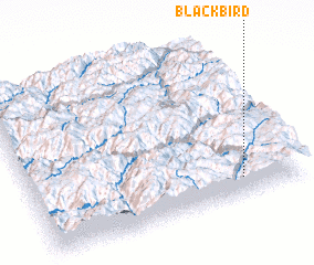 3d view of Blackbird