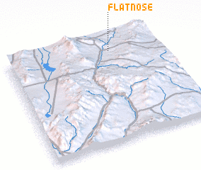 3d view of Flat Nose