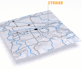 3d view of Striker